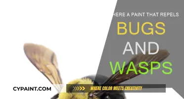 Keep Bugs at Bay: Repellent Paints for Your Home