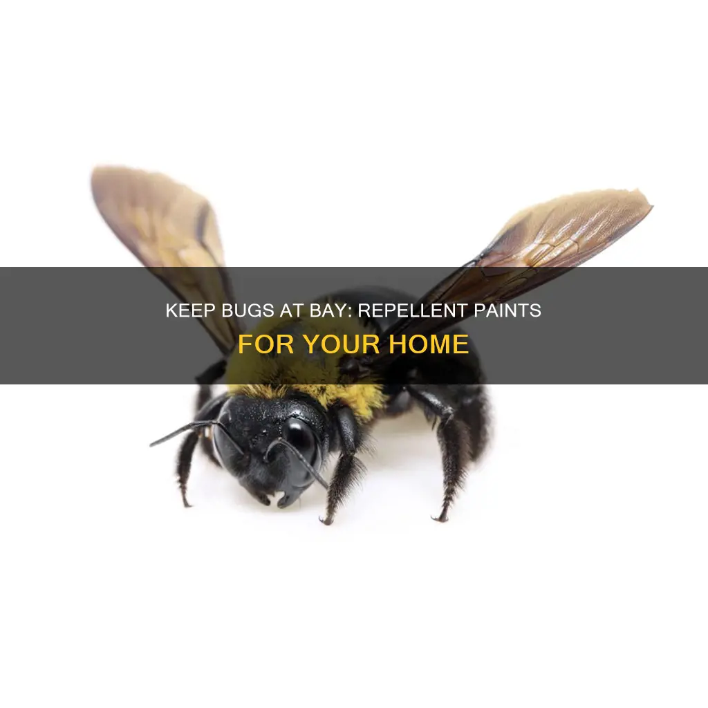 is there a paint that repels bugs and wasps