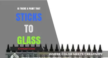 Discover the Best Paint for Glass Surfaces: A Comprehensive Guide