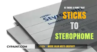 Best Paint Options for Styrofoam: Adhesion, Techniques, and Tips