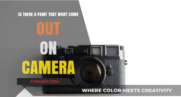 Unleashing Creativity: Exploring Camera-Friendly Paints for Artists