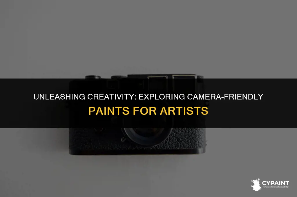 is there a paint that wont come out on camera