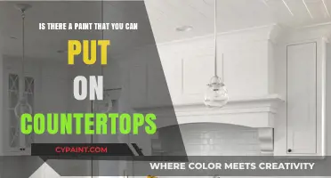 Revamp Your Countertops: Exploring Paint Options for a Fresh Look