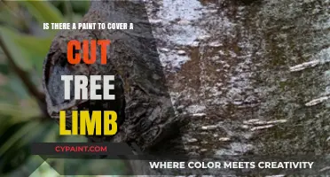 Concealing Cut Tree Limbs: A Painter's Guide to Seamless Repairs