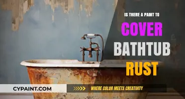 Best Paint Solutions to Conceal and Repair Bathtub Rust Effectively