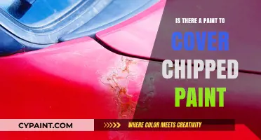Best Paint Solutions to Seamlessly Cover Chipped Paint Surfaces