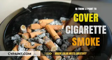 Best Paint to Cover Cigarette Smoke: Solutions for Fresh Walls