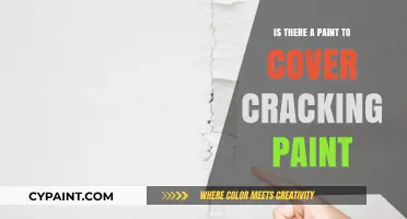 Best Paint Solutions to Conceal and Repair Cracking Paint Surfaces