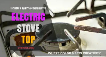 Revive Your Rusted Stove Top: A Guide to Effective Paint Solutions
