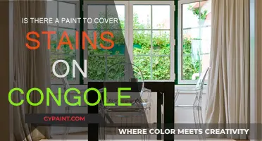 Covering Stains on Congoleum: The Best Paint Options