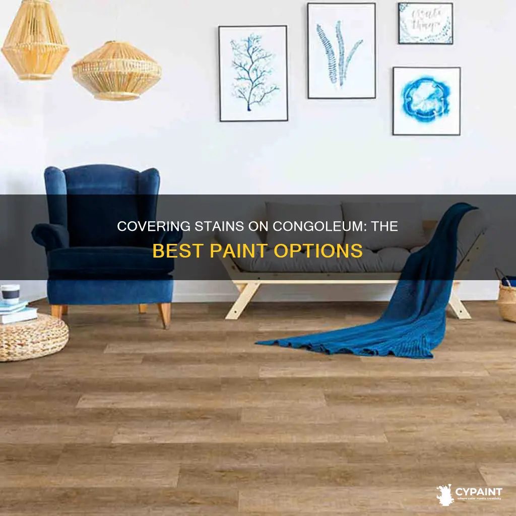 is there a paint to cover stains on congoleum