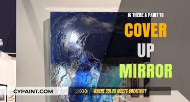 Can You Paint Over a Mirror? Surprising Solutions Revealed