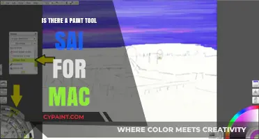 Paint Tool SAI for Mac: Alternatives and Compatibility Explained