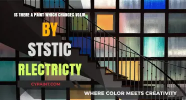 Exploring the Innovative World of Electrochromic Paints: A Static Electricity Revolution