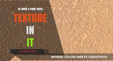 Exploring Textured Paints: Adding Depth and Dimension to Your Walls