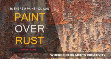 Rust-Proof Paint: Can You Paint Over Rust?