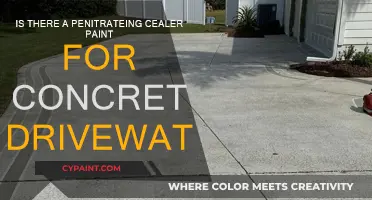 Best Concrete Sealers for Your Driveway