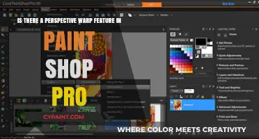 Exploring Paint Shop Pro: Does It Offer Perspective Warp?