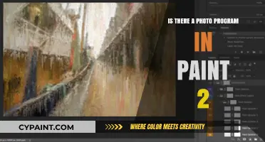 Exploring Paint 2: Does It Include a Photo Editing Program?
