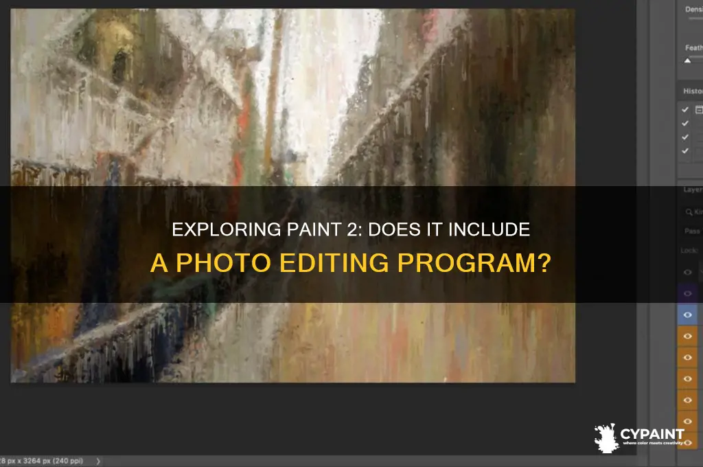 is there a photo program in paint 2