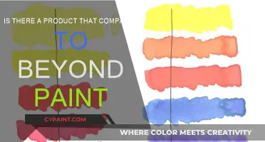 Beyond Paint: Are There Comparable Products?