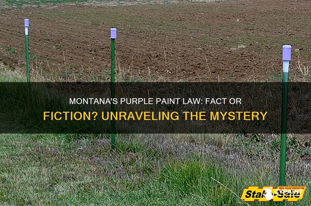 is there a purple paint law in montana