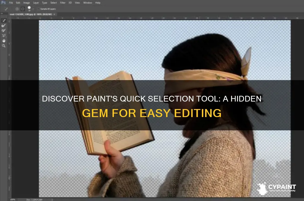 is there a quick selection tool in paint