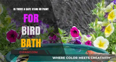 Eco-Friendly Bird Bath Makeover: Safe Stains and Paints for Your Feathered Friends