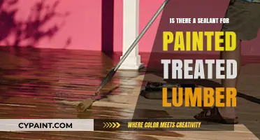 Sealant Options for Painted Treated Lumber: Protection and Longevity Tips