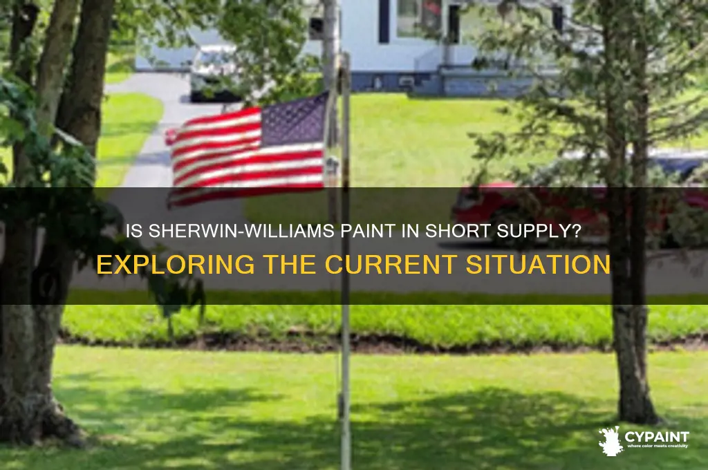 is there a shortage of sherwin williams paint
