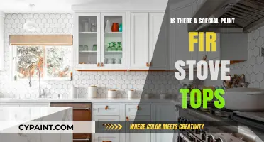 Special Paint for Stove Tops: Fact or Fiction?