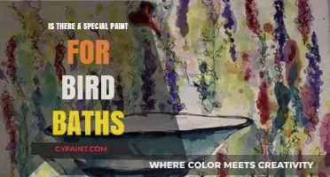 Choosing the Right Paint for Bird Baths: Safety and Durability Tips