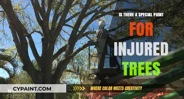 Healing Wounds: Exploring Specialized Paints for Injured Trees' Recovery
