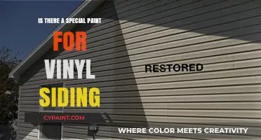 Best Paint Options for Vinyl Siding: A Comprehensive Guide