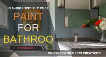Best Paint for Bathrooms: Choose the Right Type