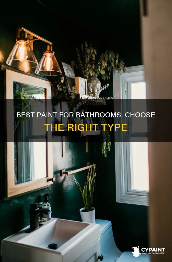 is there a special type of paint for bathrooms