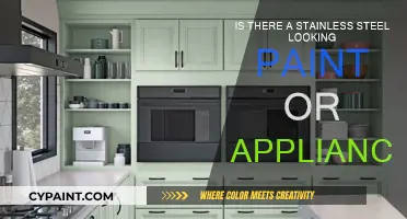 Stainless Steel Appliances: Paint or Buy New?