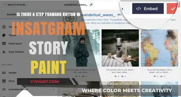 Exploring Instagram Story Features: The Quest for a Step Forward Button
