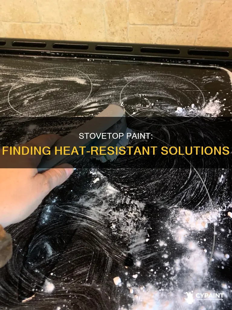 is there a stovetop paint which is heat resistant
