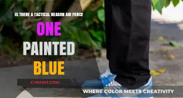 The Strategic Significance of Air Force One's Blue Paint
