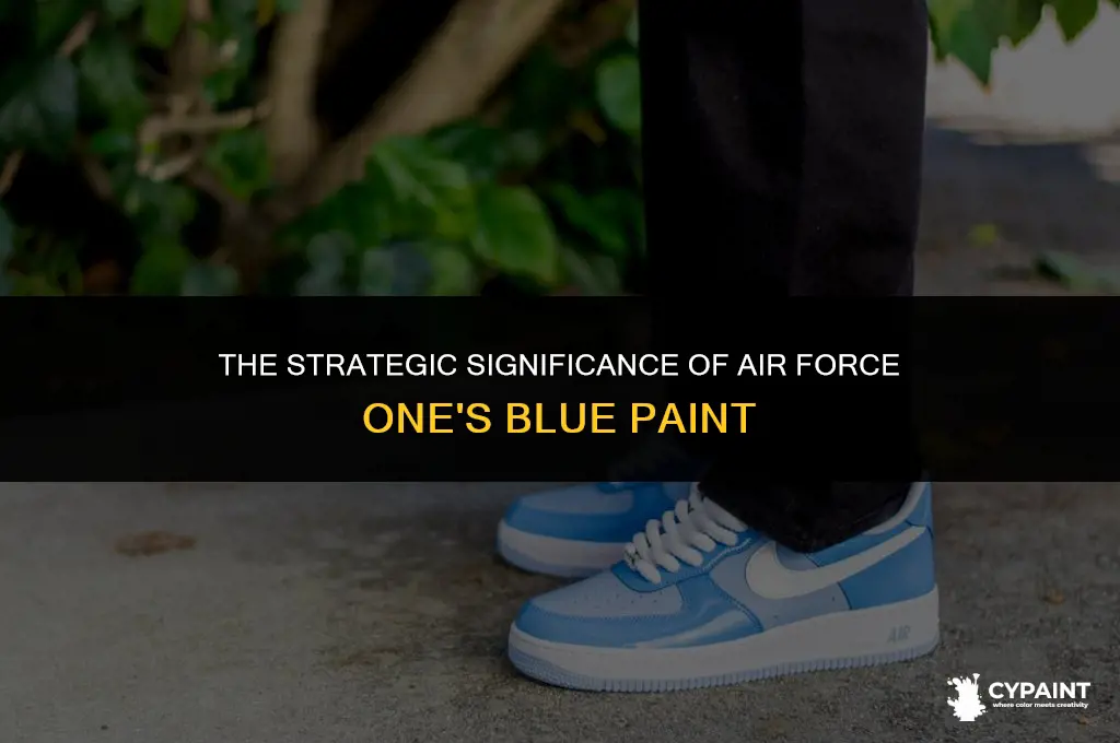 is there a tactical reason air force one painted blue