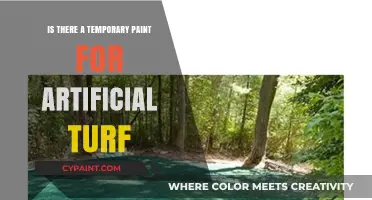 Temporary Paint Options for Artificial Turf: What You Need to Know