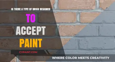 Exploring Paint-Friendly Bricks: A Guide to Customizable Masonry