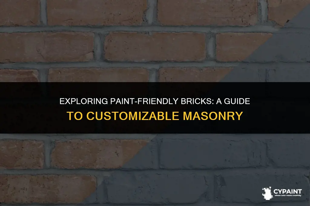 is there a type of brick designed to accept paint