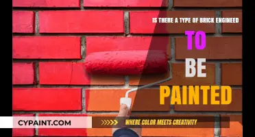Exploring the World of Paint-Ready Bricks: A Comprehensive Guide