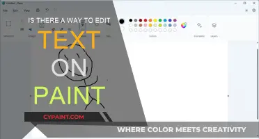 Editing Text on Paint: Is It Possible?