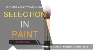 Highlighting Selections: A Simple Paint Hack