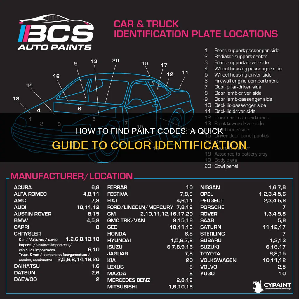 is there a way to look up paint codes