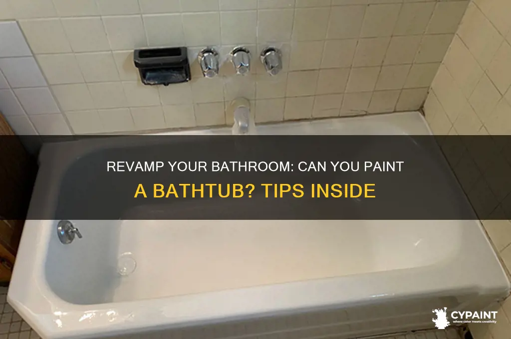 is there a way to paint a bathtub