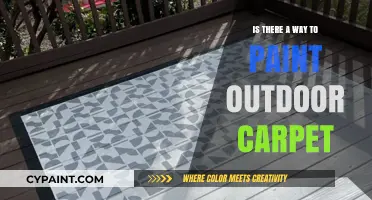 Revitalize Your Outdoor Space: Painting Outdoor Carpet Made Easy